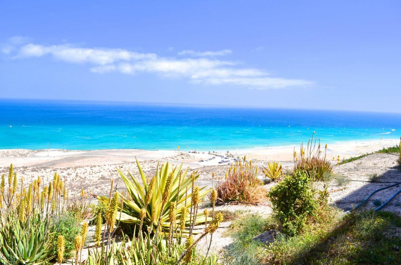 Residencial Playa Paraiso Appartement